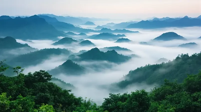 雾中山川 老湿影院高清封面